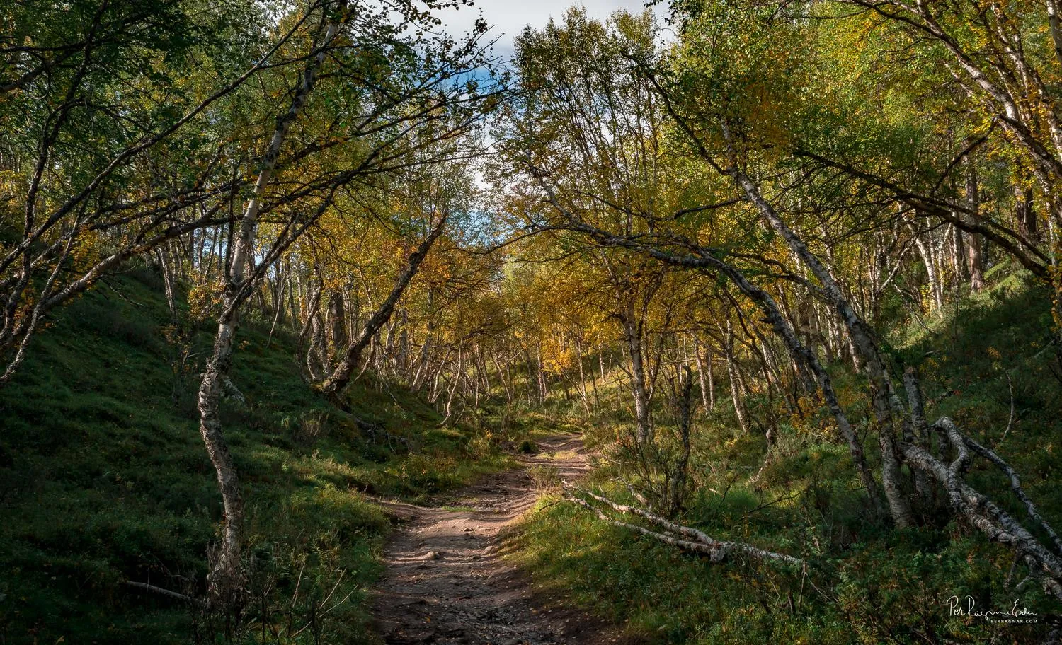 Blanktjärnsrundan