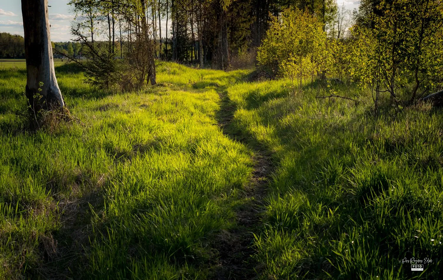 Promenad hemma