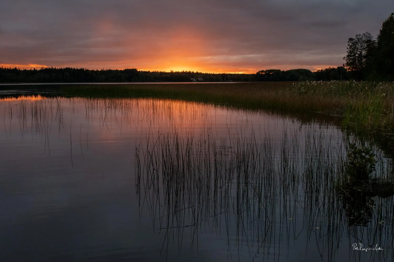 Långforsen