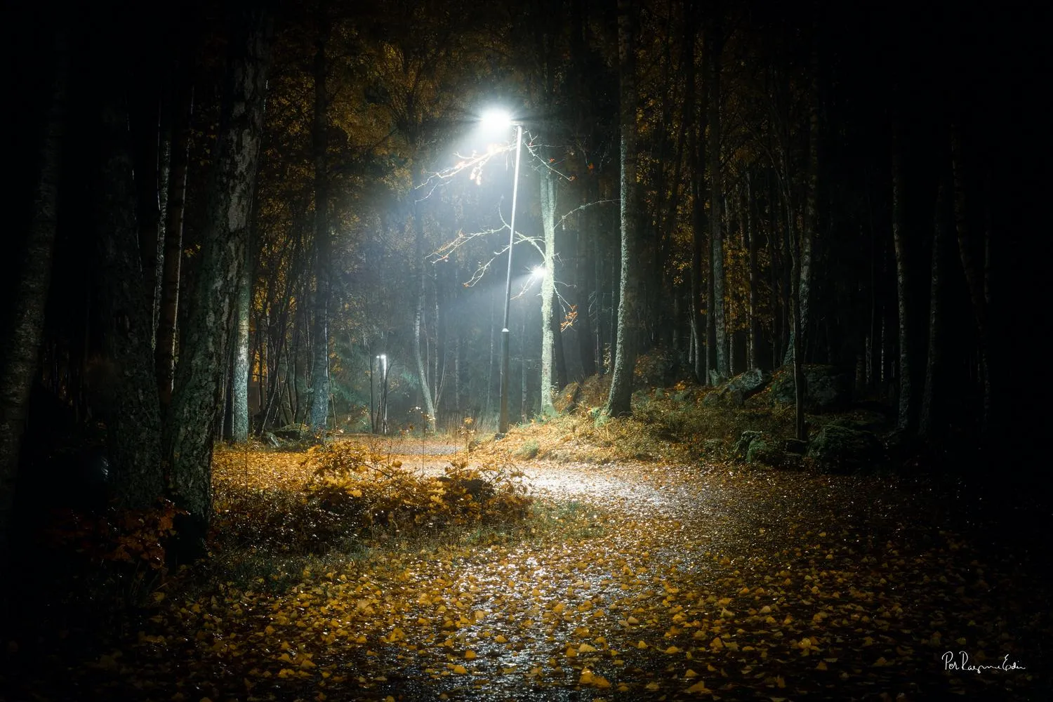 Kvällsfoto i Ransta - del 2