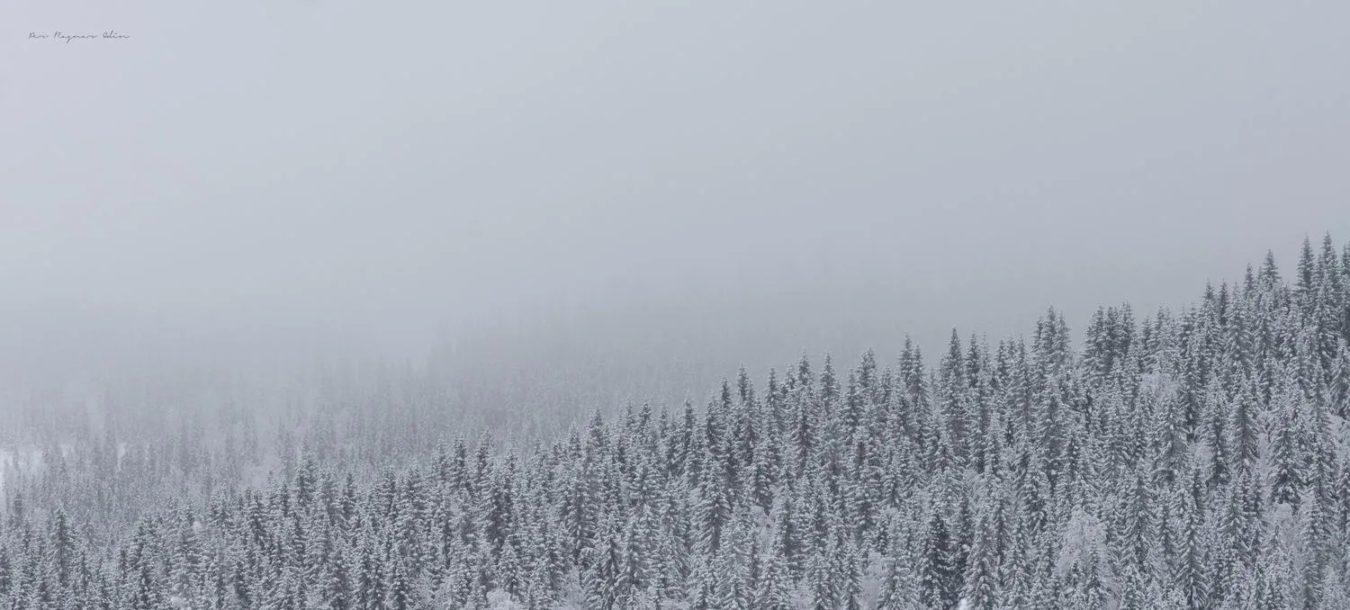 Snö och dimma i Undersåker