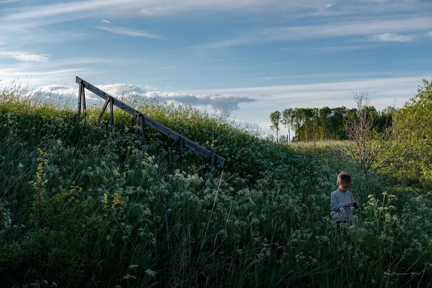 Promenad vid Sågdammen