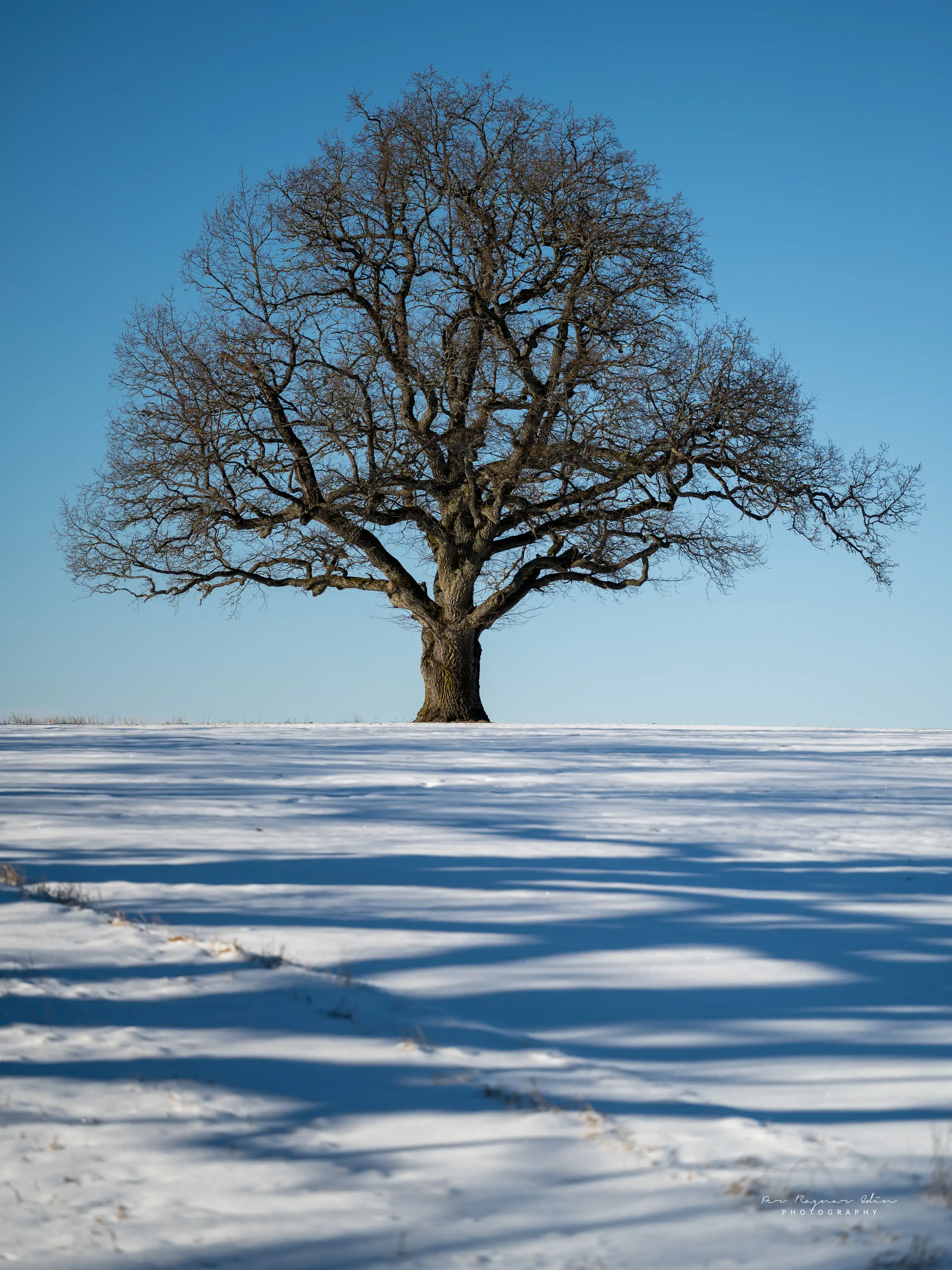 Vårvinter i Sågdammen