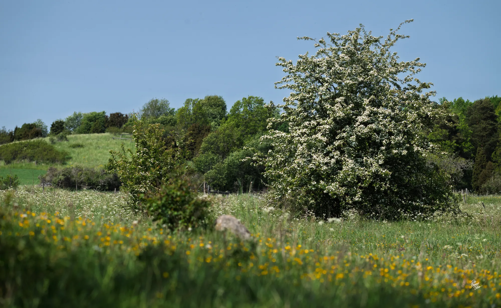 Hjälstaviken runt