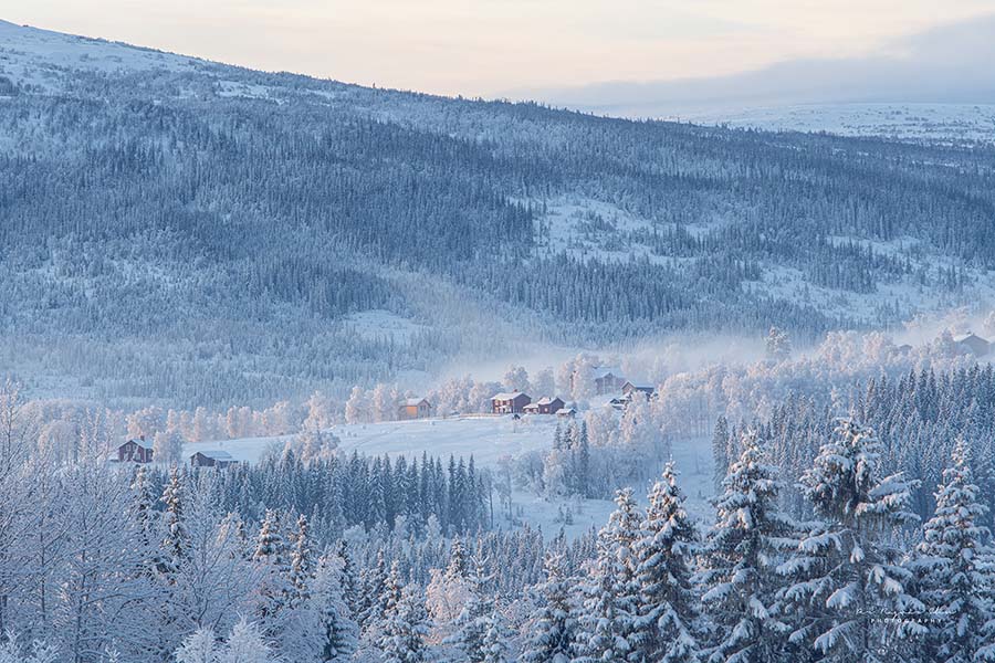 Galleribilden Edsåsen