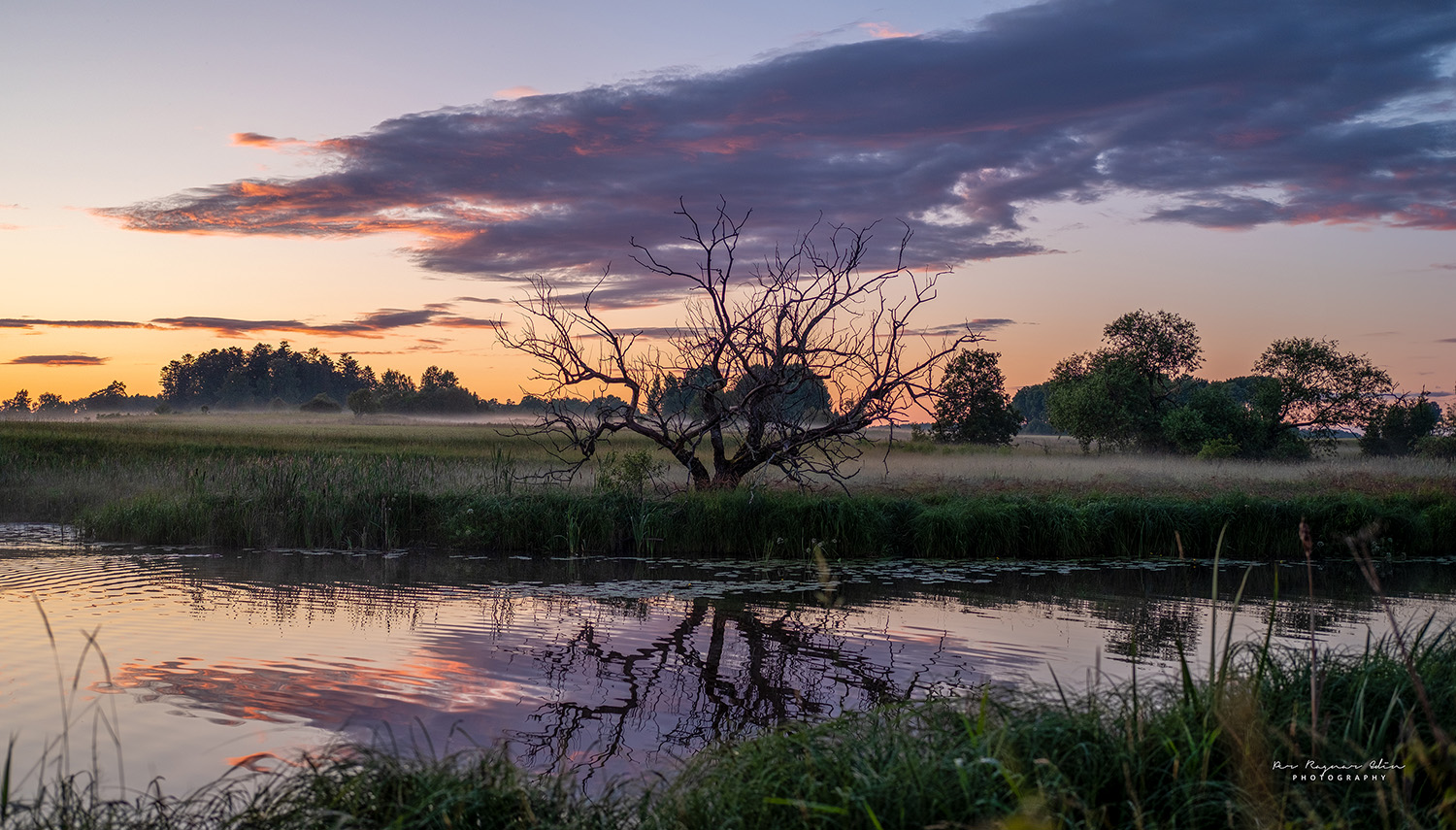 Tranquility
